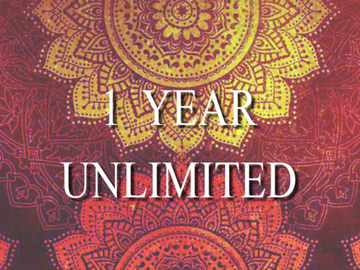 1 Year Unlimited