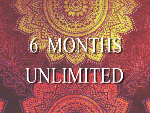 6 Months Unlimited