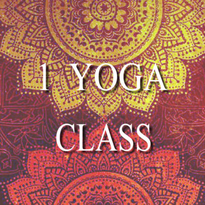 1 Yoga Class (online via livestream)